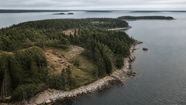 Nova Scotia’daki Oak Island’da eski bir kazı alanı